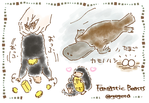 2018ファンタビニフラー.jpg